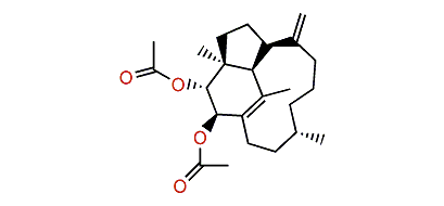 (2R*,3R*,4S*,7R*,12S*,16S*)-Trinervita-1(15),8(19)-diene-2,3-diyl diacetate